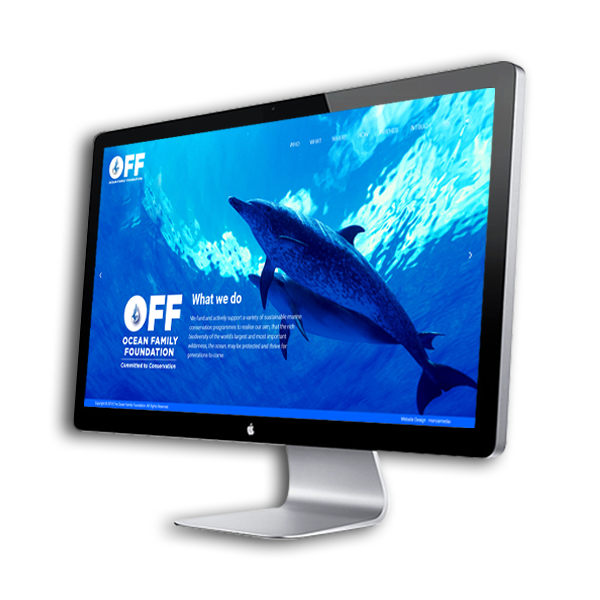 Website Design
