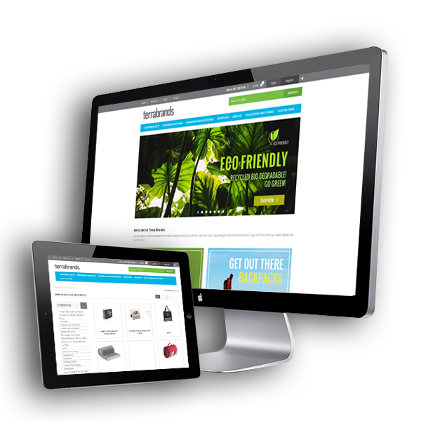 Website Design