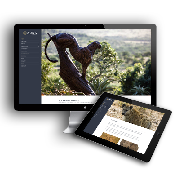 website Design